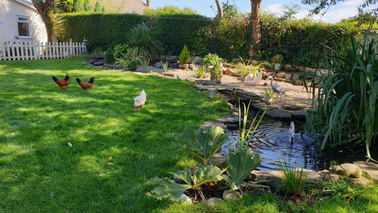 The Duck House Apartment Swansea Ngoại thất bức ảnh